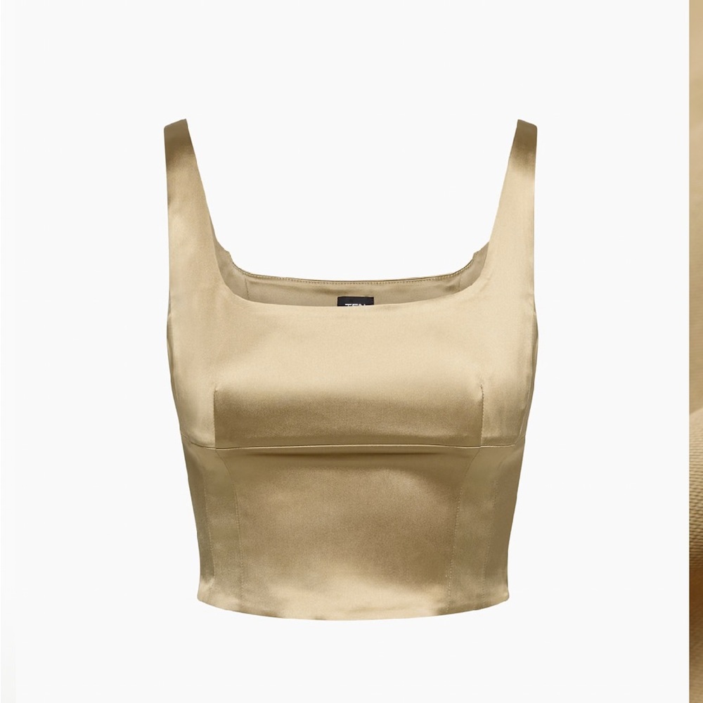Aritzia Shine Satin Bustier